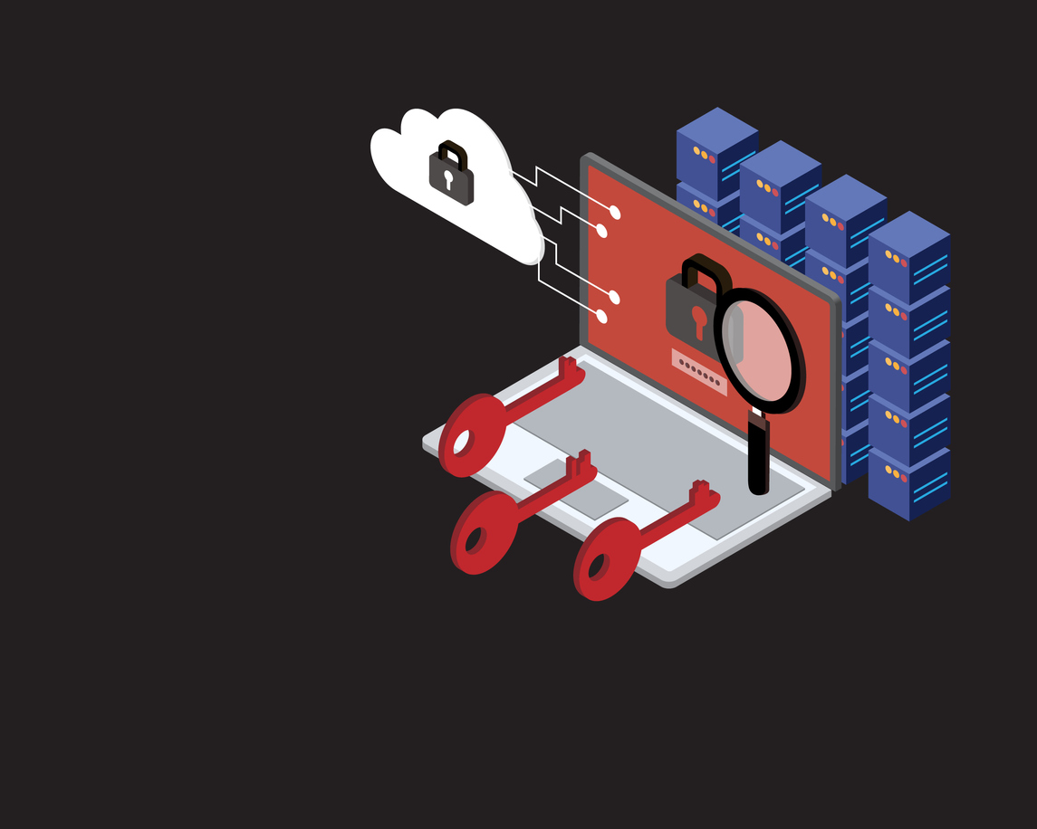 Comparing Vulnerability Scanning and Testing